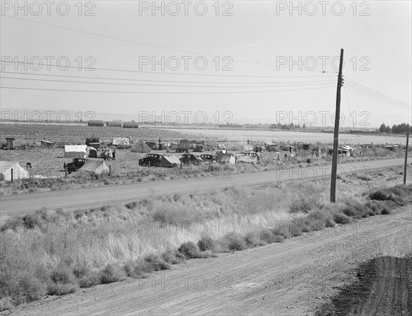 Camp of migrant potato pickers seen from potato shed across the road. Siskiyou County, California.