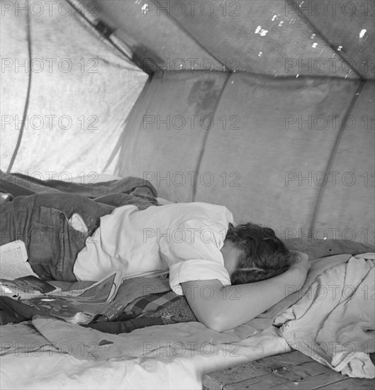 Inside a pea picker's tent in the middle of the morning. No work. Santa Clara County, California.