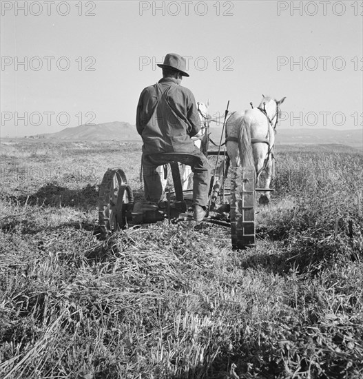 Mr. Roberts, FSA (Farm Security Administration) borrower. Owyhee project. Malheur County, Oregon.