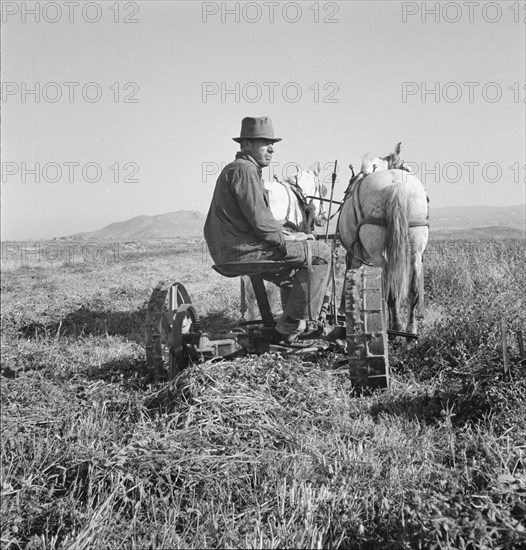 Mr. Roberts, FSA (Farm Security Administration) borrower. Owyhee project. Malheur County, Oregon.