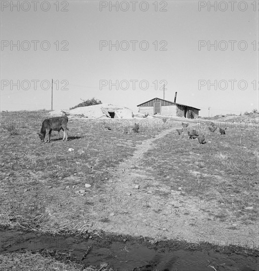 Abode [adobe?] basement dugout house on Roberts' farm. Willow Creek area. Malheur County, Oregon.