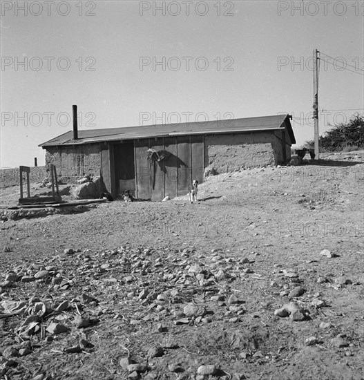 Abode [adobe?] basement dugout house on Roberts' farm. Willow Creek area. Malheur County, Oregon.