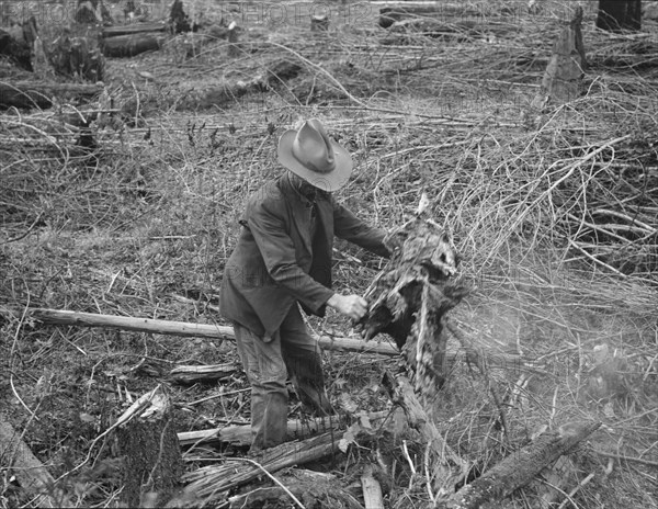 Ex-Nebraska farmer and the piece of land which he hopes to clear next year. Bonner County, Idaho.