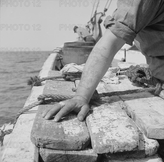 On board the fishing boat Alden out of Gloucester, Massachusetts. The tattoed arm of a fisherman.