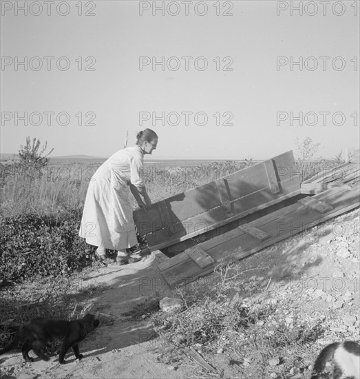 Mrs. Hull closing up the cellar which she has well-filled. Dead Ox Flat, Malheur County, Oregon.