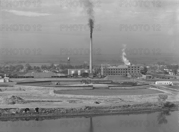 Sugar beet factory along Snake River. Shows beet dump, beet pile. Nyssa, Malheur County, Oregon.