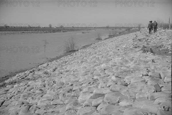 The Bessie Levee augmented with sand bags during the 1937 flood. Near Tiptonville, Tennessee.