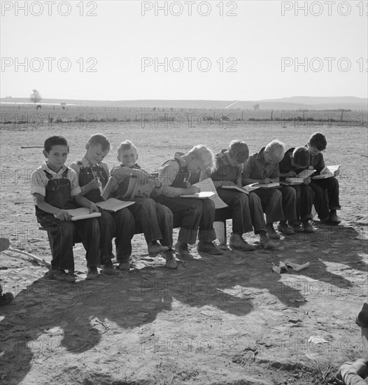 Eight boys at Lincoln Bench School. Born in six states. Near Ontario, Malheur County, Oregon.