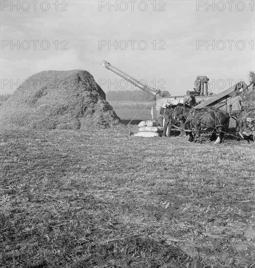 Threshing red clover for seed on older settler's ranch. Near Ontario, Malheur County, Oregon.