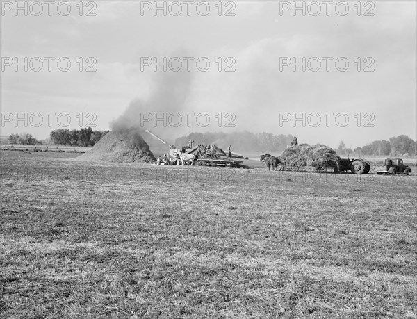 Threshing red clover for seed on older settler's ranch. Near Ontario, Malheur County, Oregon.