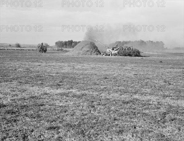 Threshing red clover for seed on older settler's ranch. Near Ontario, Malheur County, Oregon.