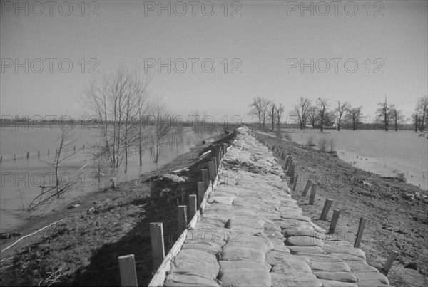 The Bessie Levee augmented with sand bags during the 1937 flood near Tiptonville, Tennessee.