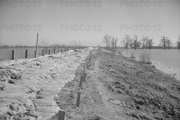 The Bessie Levee augmented with sand bags during the 1937 flood near Tiptonville, Tennessee.