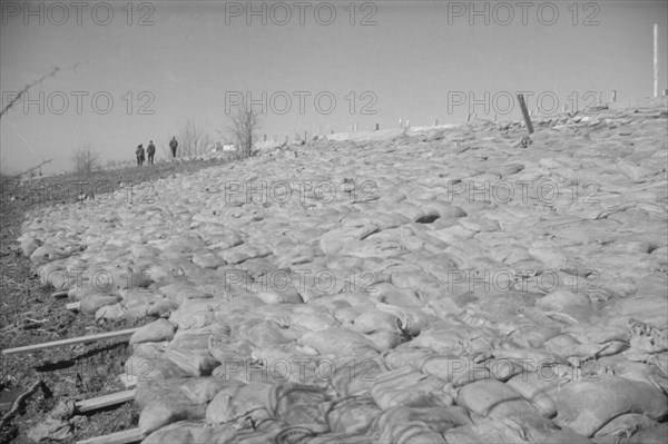 The Bessie Levee augmented with sand bags during the 1937 flood near Tiptonville, Tennessee.