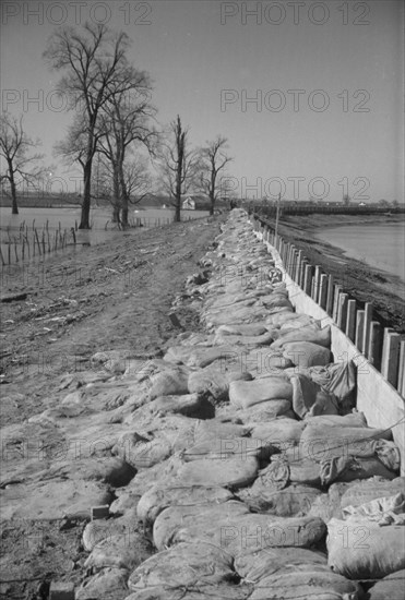 The Bessie Levee augmented with sand bags during the 1937 flood near Tiptonville, Tennessee.