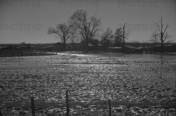 The Bessie Levee augmented with sand bags during the 1937 flood near Tiptonville, Tennessee.
