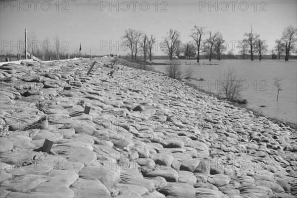 The Bessie Levee augmented with sand bags during the 1937 flood near Tiptonville, Tennessee.