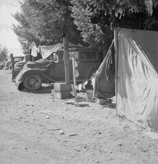 Oregon, Marion County, near West Stayton. Another migratory family camp during bean harvest.