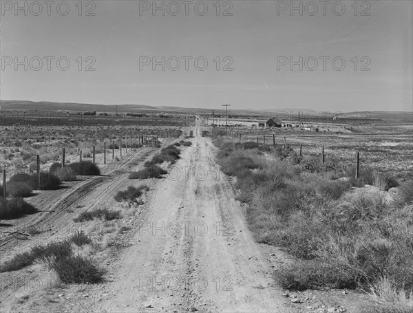 Section of lone road approaching the Schroeder place. Dead Ox Flat, Malheur County, Oregon.