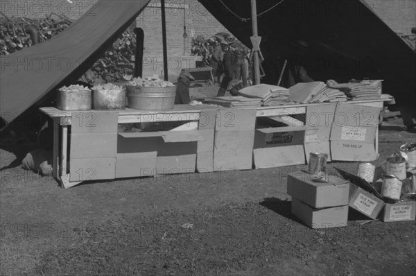 [Untitled photo, possibly related to: Flood refugee encampment at Forrest City, Arkansas].