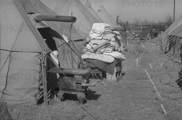 [Untitled photo, possibly related to: Flood refugee encampment at Forrest City, Arkansas].