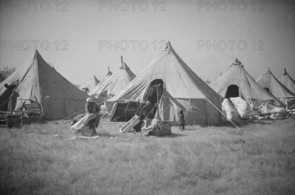 [Untitled photo, possibly related to: Flood refugee encampment at Forrest City, Arkansas].