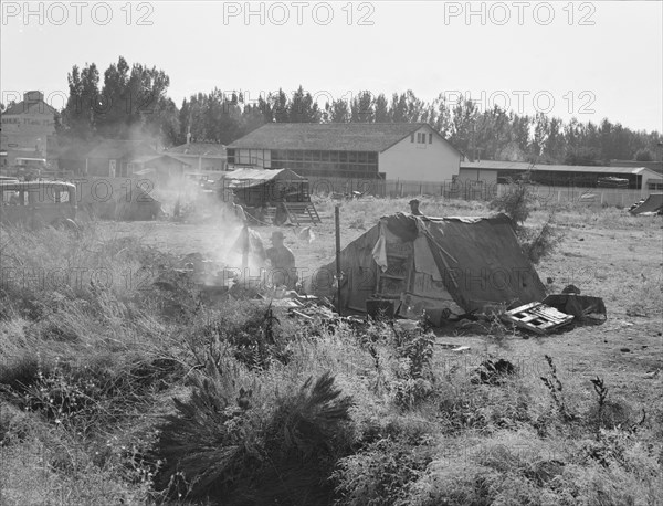 One of the forty potato camps in open field, entering town. Malin, Klamath County, Oregon.