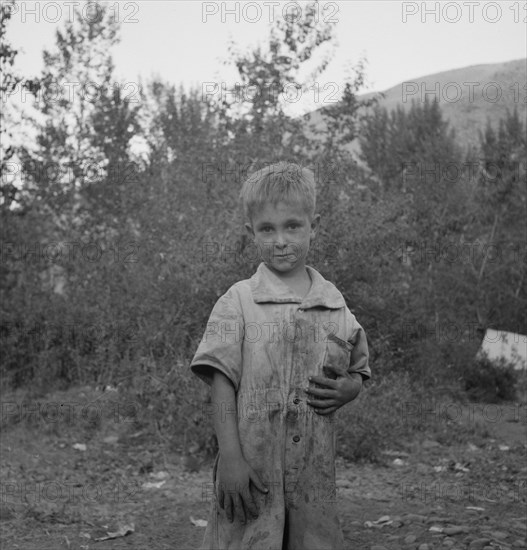 This is a younger brother who also picks hops. Washington, near Toppenish, Yakima Valley.