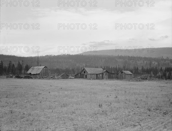 Partially-developed stump ranch seen across cleared grain field. Boundary County, Idaho.