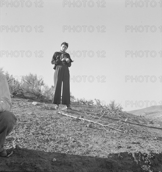 Woman at Cow Hollow, Oregon, 1939. [Image possibly related to Sam Cates from Oklahoma].