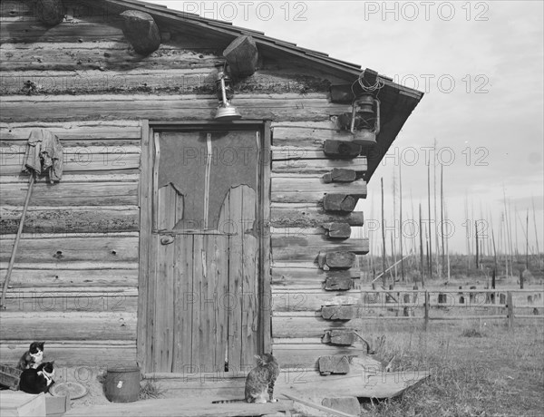 Log home. Farm established six years ago. Priest River Peninsula, Bonner County, Idaho.