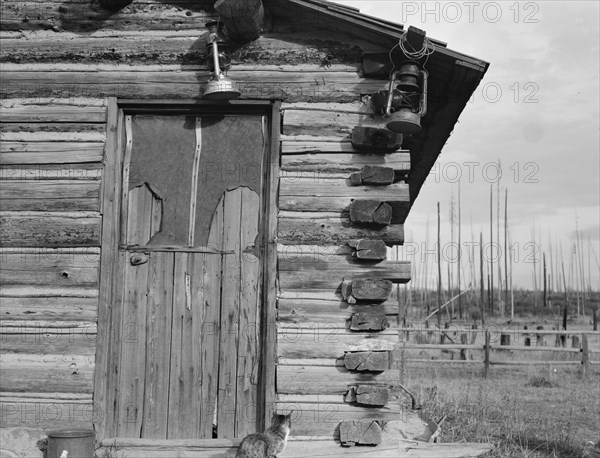 Log home. Farm established six years ago. Priest River Peninsula, Bonner County, Idaho.