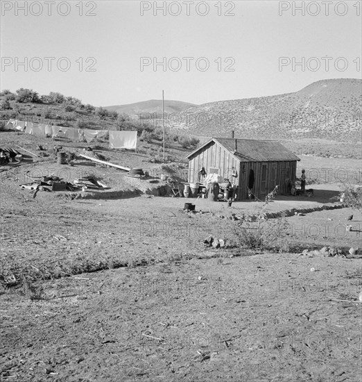 The fartherest house up Cow Hollow. Malheur County, Oregon. Family came from Oklahoma.