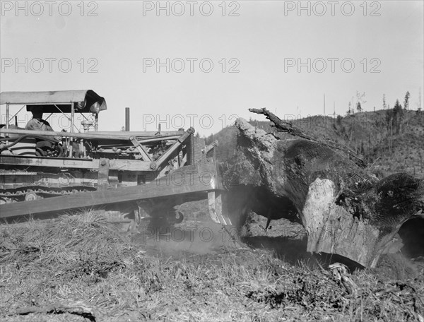 Western Washington, Lewis County. Bulldozer raises and pushes stump on cut-over farm.