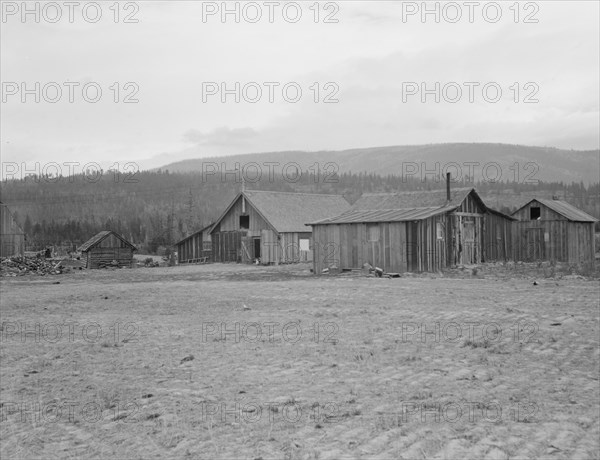 Partly-developed stump ranch seen across cleared grain field. Boundary County, Idaho.