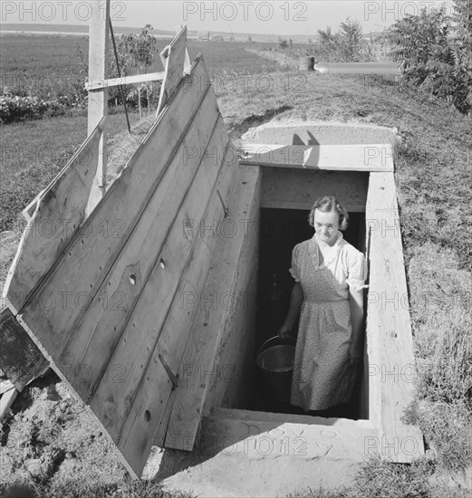 Mrs. Botner's storage cellar on Botner farm. Nyssa Heights, Malheur County, Oregon].