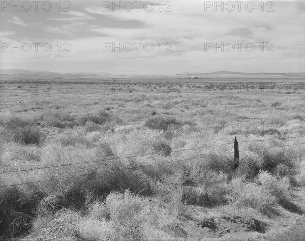 Washington, Grant County, north of Quincy. Abandoned farmland in the Columbia Basin.