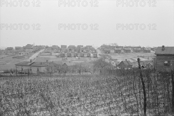 [Untitled photo, possibly related to: Negro houses, Winston-Salem, North Carolina].