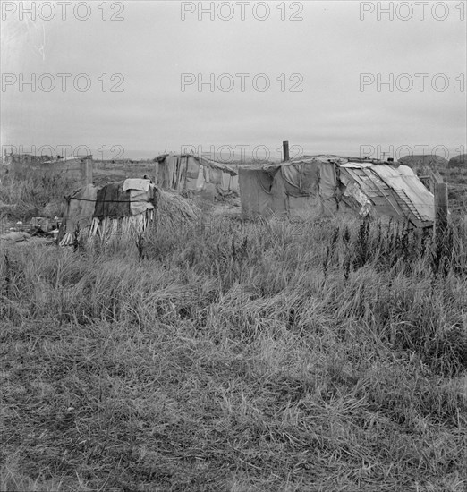 Living conditions of migrant potato pickers. Tulelake, Siskiyou County, California.