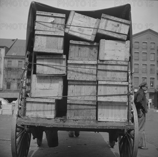 New York, New York. Shipping fish by horse-drawn vehicle from Fulton fish market.