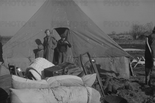 Setting up a tent in the camp for white flood refugees, Forrest City, Arkansas.