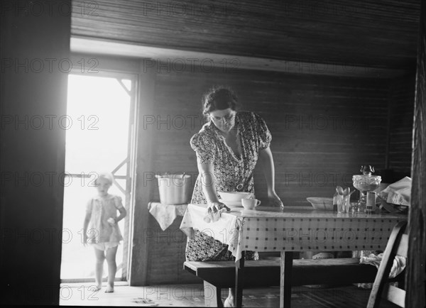 Wife of tobacco sharecropper in kitchen of home. Person County, North Carolina.