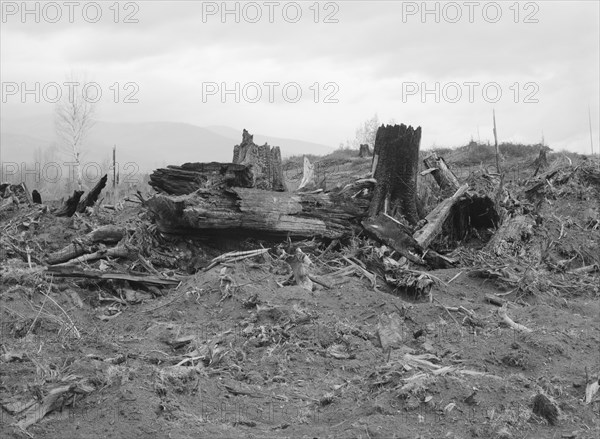 New settlers shack at foot of hills on poor sandy soil. Boundary County, Idaho.