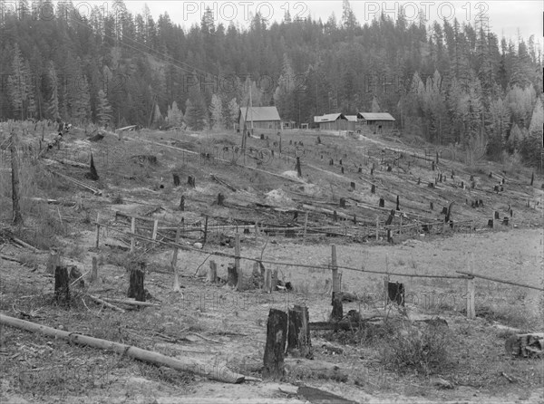 New settlers shack at foot of hills on poor sandy soil. Boundary County, Idaho.