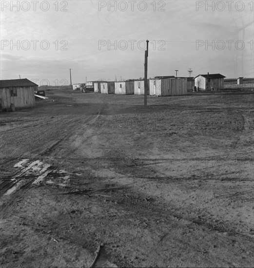 Newly-built cabins, rent five dollars per month. California. Near Bakersfield.