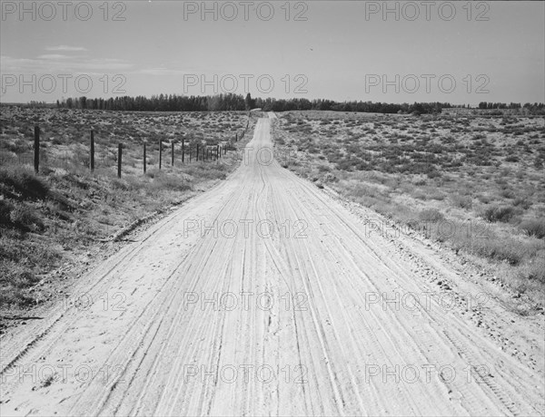 Road leading to small farm in northern Oregon. Irrigon, Morrow County, Oregon.