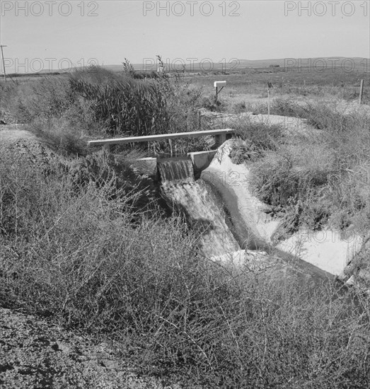 Irrigation ditch, showing drop in canal. Dead Ox Flat, Malheur County, Oregon.