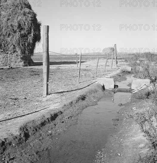 Emmett Smith's yard, back of the house. Dead Ox Flat, Malheur County, Oregon.