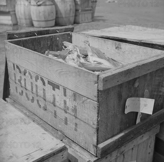 New York, New York. Box of fish at the Fulton fish market waiting to be iced.