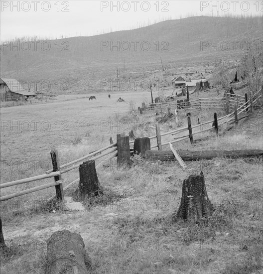 Fenced pasture on cut-over farm. Priest River Valley, Bonner County, Idaho.